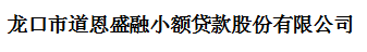 龙口市道恩盛融小额贷款股份有限公司