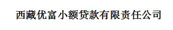 西藏优富小额贷款有限责任公司