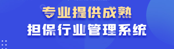 担保公司业务管理系统软件