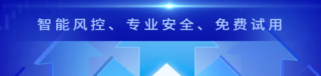 信贷管理系统的功能和特点